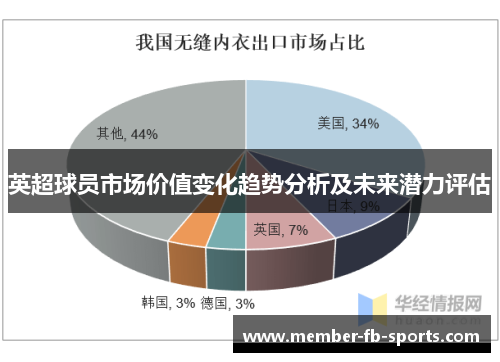 英超球员市场价值变化趋势分析及未来潜力评估 英超球员市场价值变化趋势分析及未来潜力评估