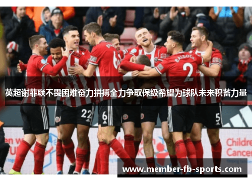 英超谢菲联不畏困难奋力拼搏全力争取保级希望为球队未来积蓄力量