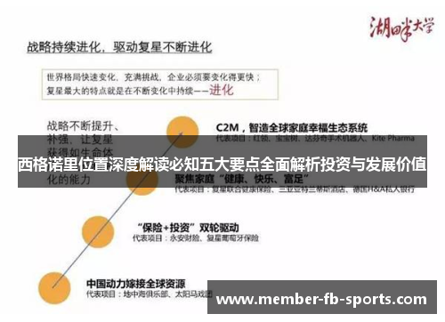 西格诺里位置深度解读必知五大要点全面解析投资与发展价值