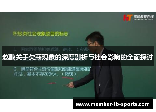 赵鹏关于欠薪现象的深度剖析与社会影响的全面探讨