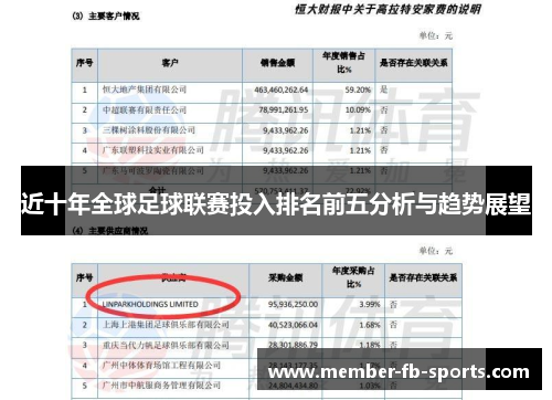 近十年全球足球联赛投入排名前五分析与趋势展望