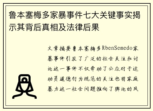 鲁本塞梅多家暴事件七大关键事实揭示其背后真相及法律后果